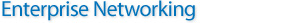 Enterprise Networking